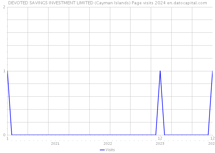 DEVOTED SAVINGS INVESTMENT LIMITED (Cayman Islands) Page visits 2024 