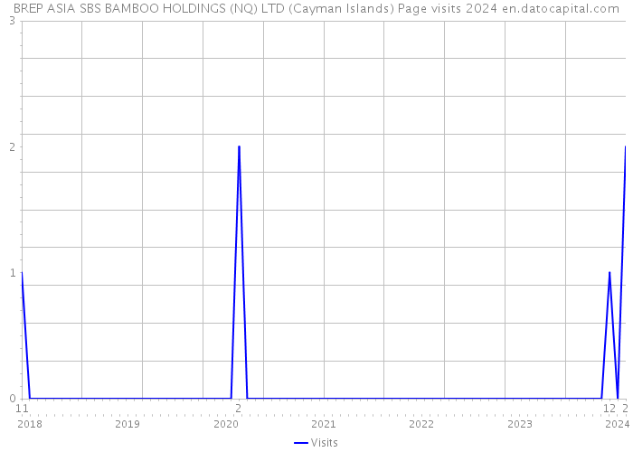 BREP ASIA SBS BAMBOO HOLDINGS (NQ) LTD (Cayman Islands) Page visits 2024 