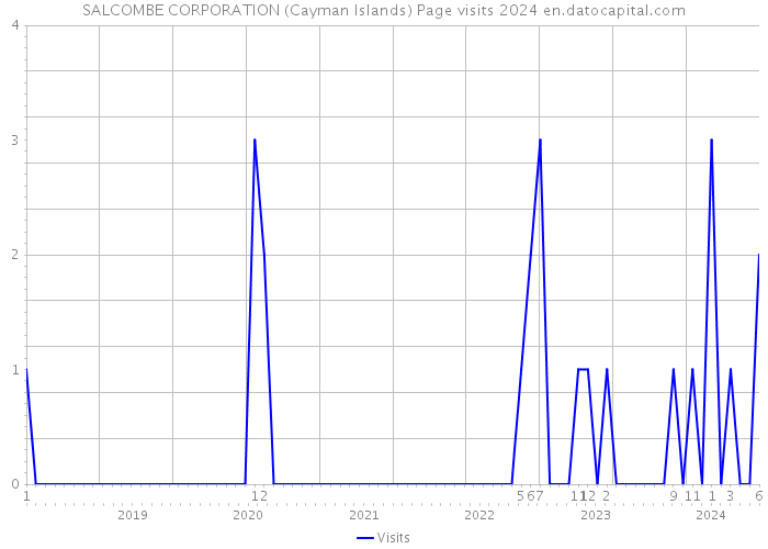 SALCOMBE CORPORATION (Cayman Islands) Page visits 2024 