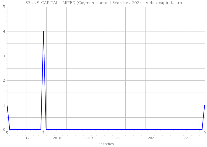 BRUNEI CAPITAL LIMITED (Cayman Islands) Searches 2024 