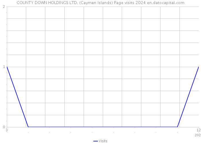 COUNTY DOWN HOLDINGS LTD. (Cayman Islands) Page visits 2024 