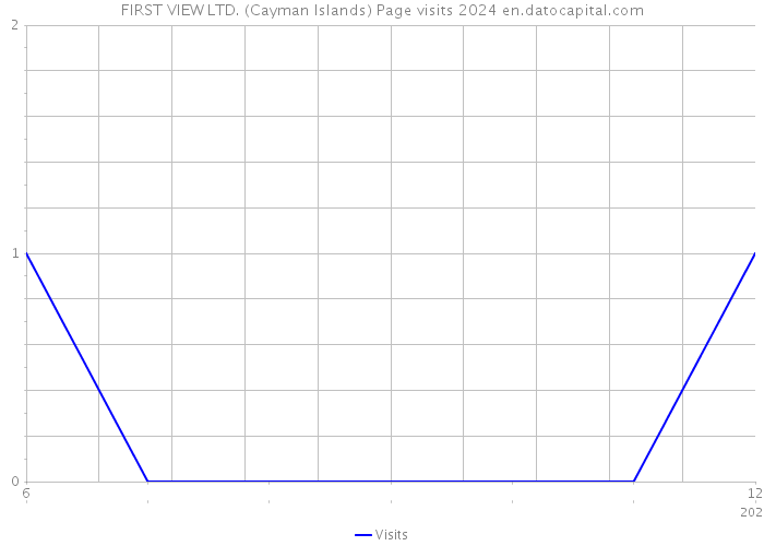 FIRST VIEW LTD. (Cayman Islands) Page visits 2024 