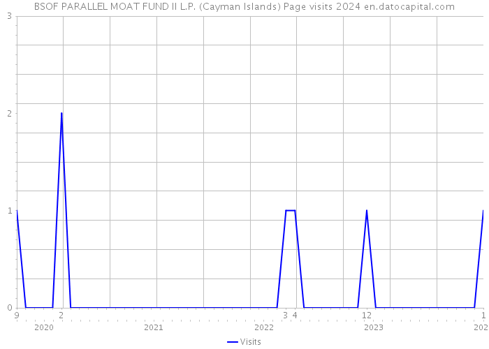 BSOF PARALLEL MOAT FUND II L.P. (Cayman Islands) Page visits 2024 