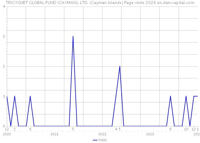 TRICYGNET GLOBAL FUND (CAYMAN), LTD. (Cayman Islands) Page visits 2024 