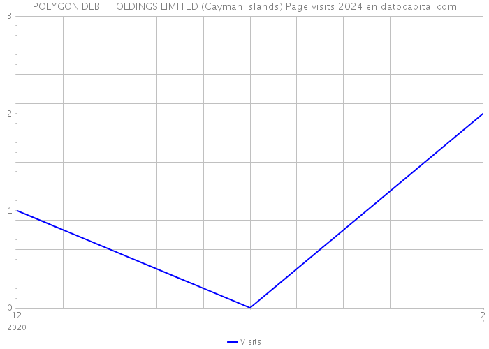 POLYGON DEBT HOLDINGS LIMITED (Cayman Islands) Page visits 2024 