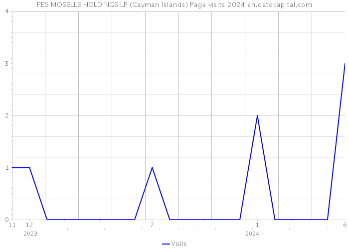 PES MOSELLE HOLDINGS LP (Cayman Islands) Page visits 2024 