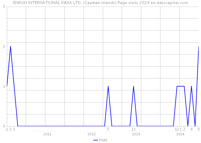 ENRON INTERNATIONAL INDIA LTD. (Cayman Islands) Page visits 2024 