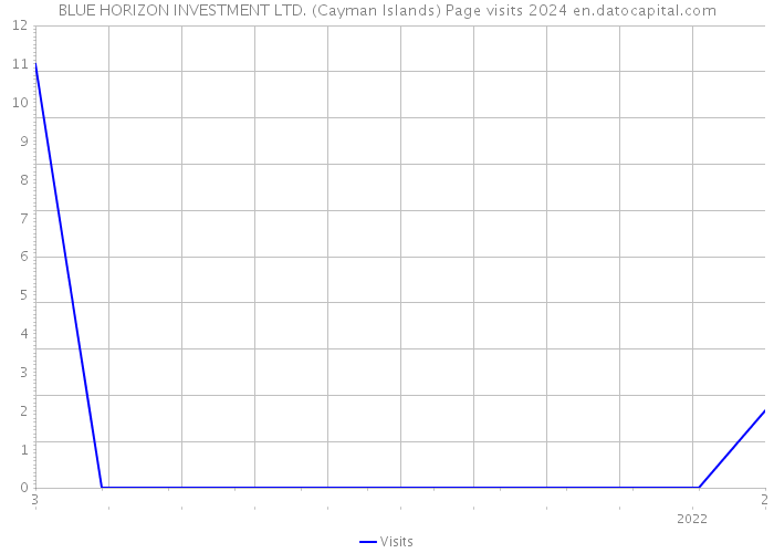 BLUE HORIZON INVESTMENT LTD. (Cayman Islands) Page visits 2024 