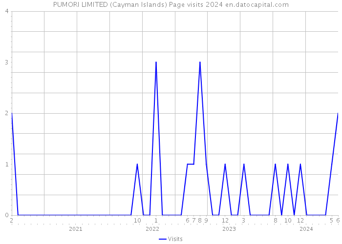 PUMORI LIMITED (Cayman Islands) Page visits 2024 