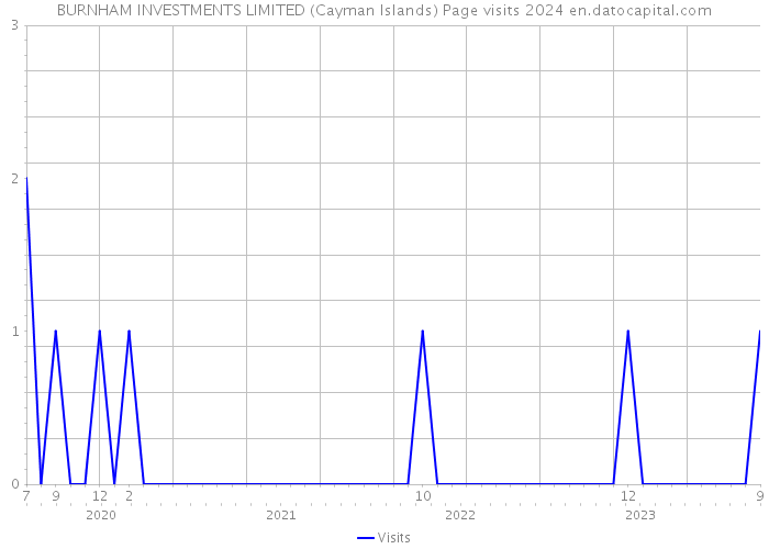 BURNHAM INVESTMENTS LIMITED (Cayman Islands) Page visits 2024 