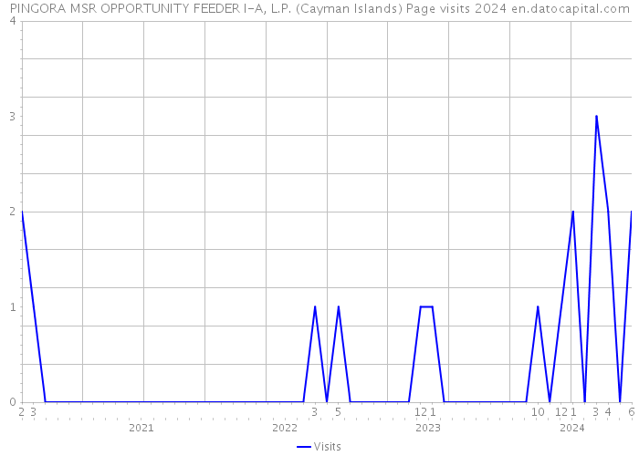 PINGORA MSR OPPORTUNITY FEEDER I-A, L.P. (Cayman Islands) Page visits 2024 